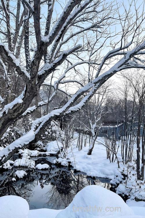 拍摄冬日雪景轻便长焦相机推荐：哪款相机适合拍摄冬日雪景