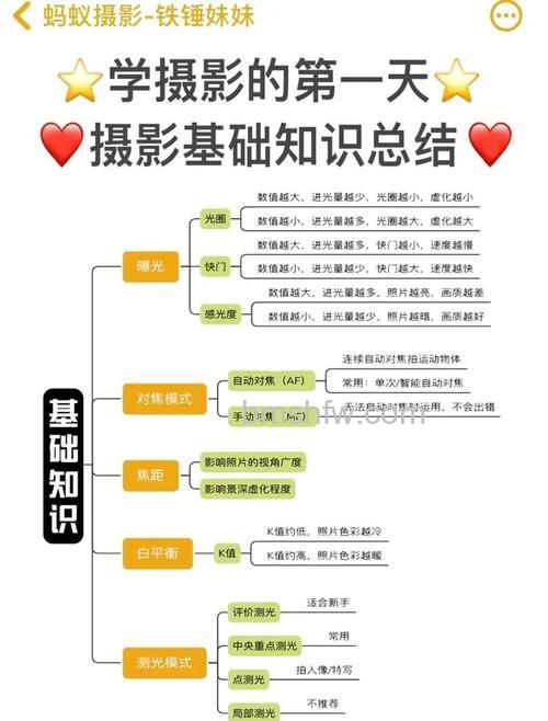 新手必备摄影技巧有哪些:新手摄影技巧注意事项