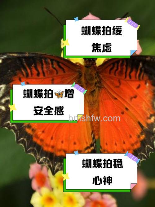 昆虫摄影应注意什么:昆虫摄影技巧有哪些【详解】