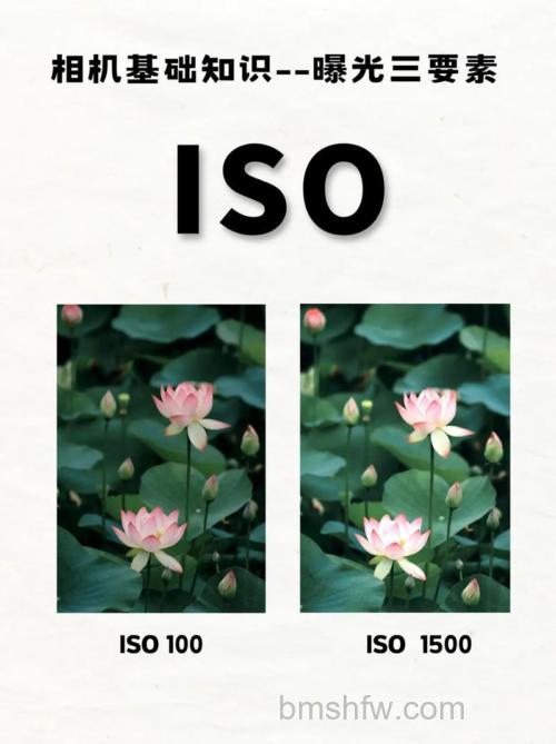 如何设置ISO:善用高感光度的摄影技巧【详细介绍】