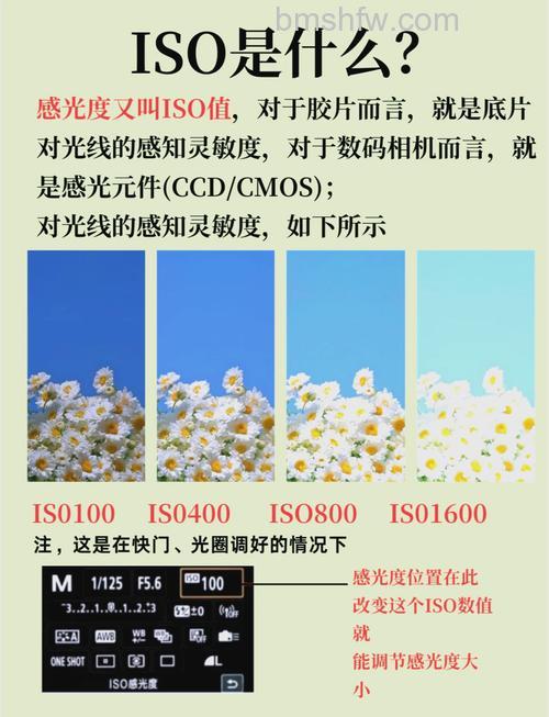 ISO感光度是什么:ISO感光度相关介绍
