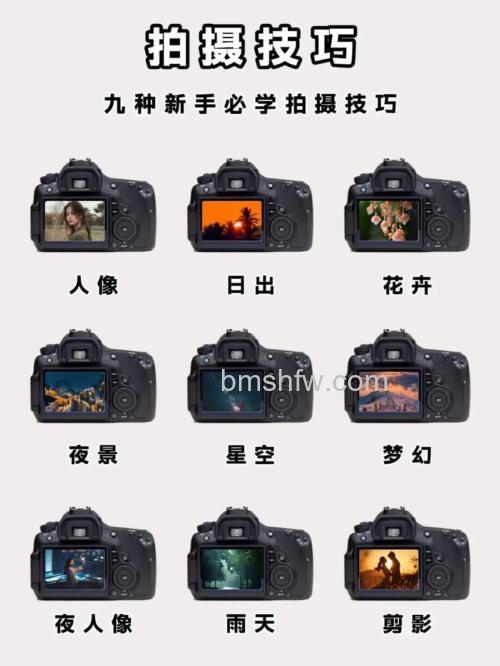 如何提升自身拍摄捕捉水平:提升自身拍摄捕捉水平技巧