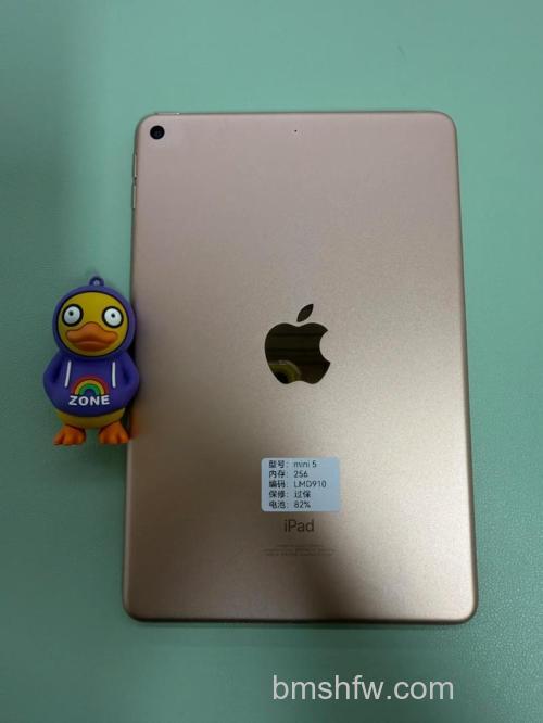 iPad mini 5屏幕什么材质 - 屏幕采样率多少