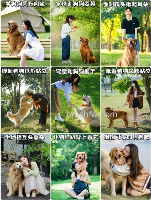 如何拍出萌宠照片?宠物摄影需要注意事项【详细介绍】