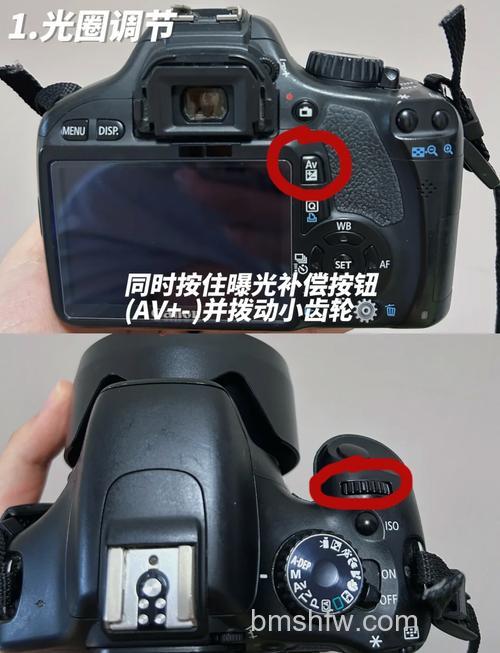 如何发挥佳能550d DPP调整白平衡?【详细介绍】