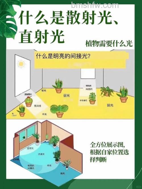 如何运用户外的光线
