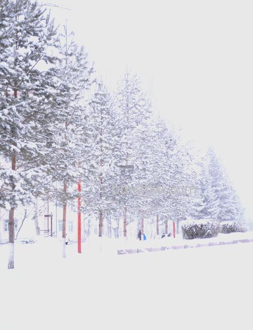 佳能550d怎么拍雪景?佳能550d拍雪景有哪些技巧【详细介绍】