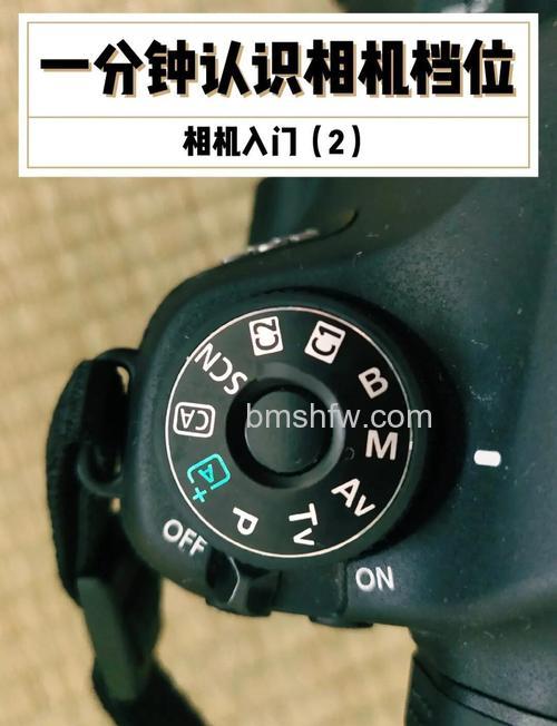 单反相机拍摄技巧有哪些?单反相机拍照基本知识和拍摄技巧【详解】