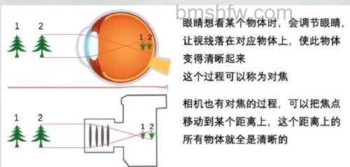 自动对焦原理是什么