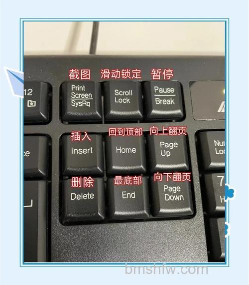 东芝笔记本在VISTA下进入“图片”的快捷键