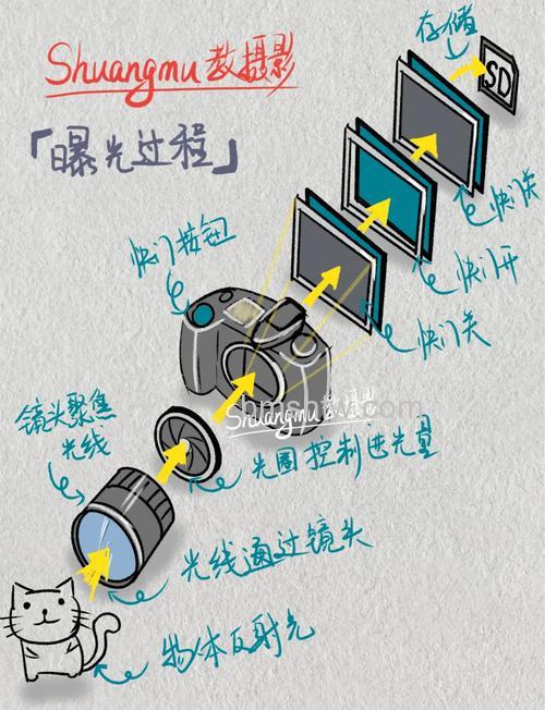 如何利用单反相机拍出二次曝光效果?利用单反相机拍出二次曝光效果攻略