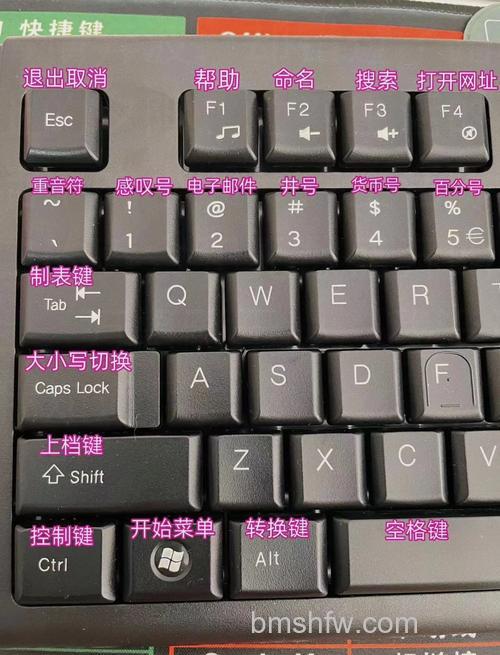 东芝笔记本Vista系统倒带快捷键及产品特性
