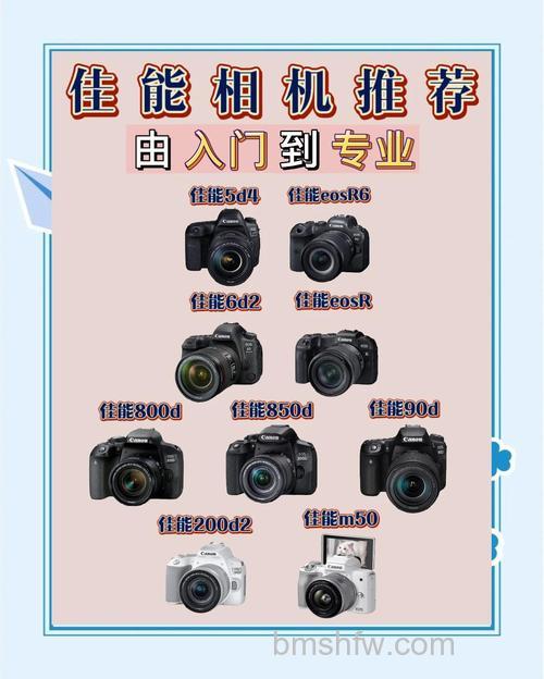 购买数码相机注意什么？从行水货到验机全攻略