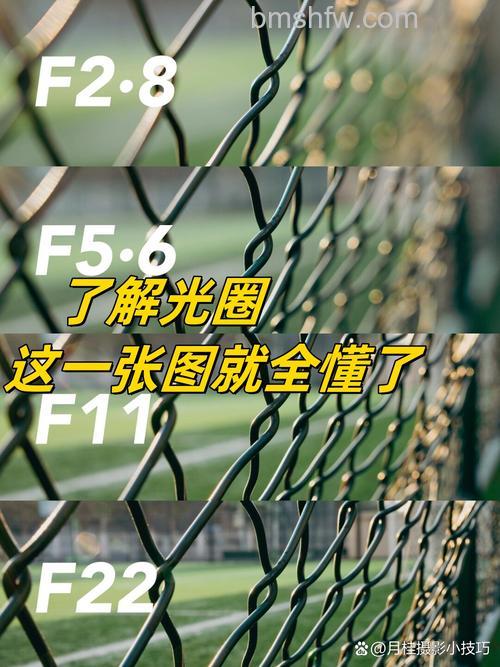 什么时候用大光圈和小光圈？效果分析与选择步骤