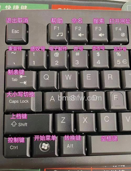 东芝笔记本在VISTA下选定一块文字的快捷键是什么？