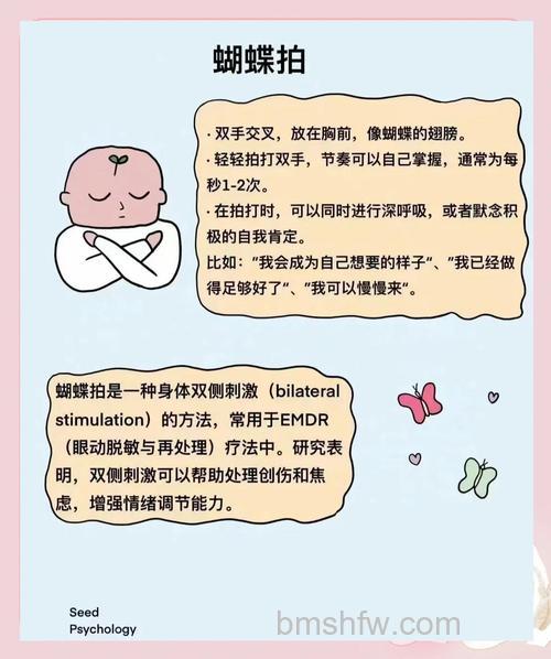 拍摄蝴蝶需要注意什么事项？了解习性、温度、时间等七大要点
