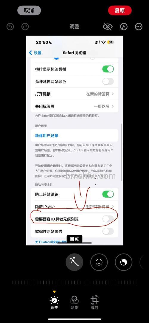 iOS17无痕浏览功能怎么用?iOS17无痕浏览功能使用方法详解