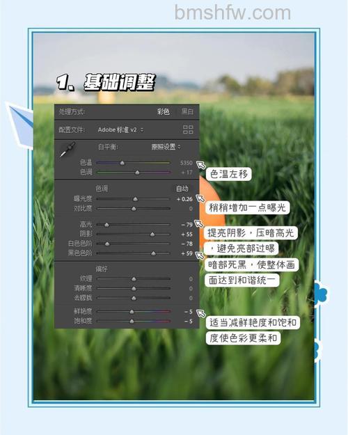 如何让照片更加出彩?多种相机滤镜推荐与使用技巧
