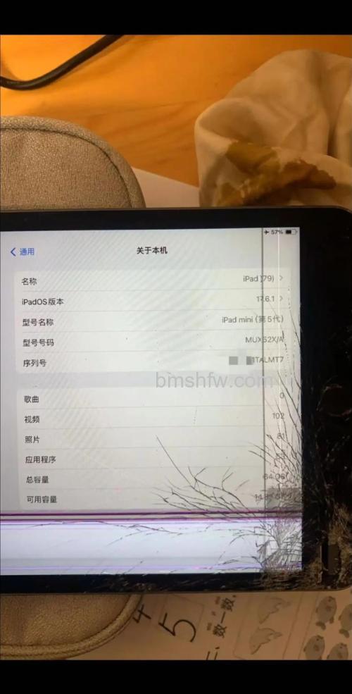 iPad mini花屏怎么办？iPad mini屏幕花屏解决方法【详解】