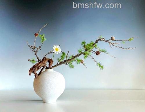 拍摄茶花道意境美有什么技巧?巧用前景、背景颜色、道具与黑白影像四大要点