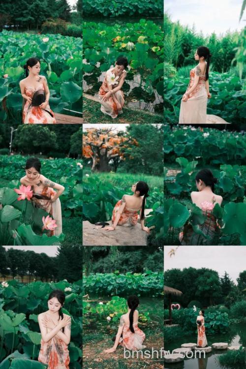 如何拍摄荷花？非常规天气、拍摄对象、非经典角度与突出主体等技巧