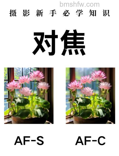 如何对焦点创造浅景深构图:对焦位置、景深关系与实际应用技巧