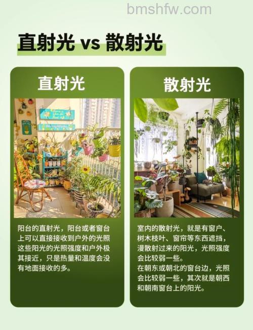 如何用好自然光:观察光线变化、不同类型光线的拍摄技巧与室内自然光控制方法