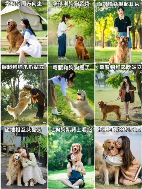 拍摄宠物有什么技巧