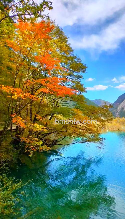 如何拍好秋天风景:光线运用、偏振镜使用、背景选择、曝光补偿、色彩搭配、天空表现与曝光控制等要点