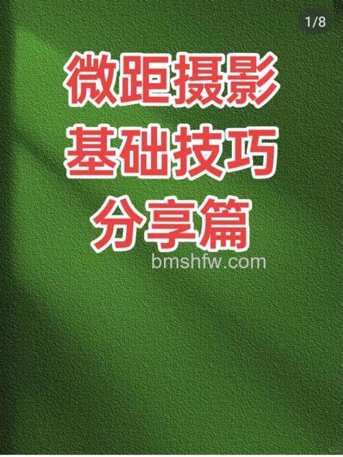 微距摄影有什么技巧?使用增距镜、近摄镜、倒接镜头等3招技法详解