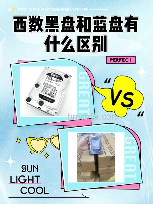 西部数据蓝盘和黑盘有什么区别？寿命与性能详解
