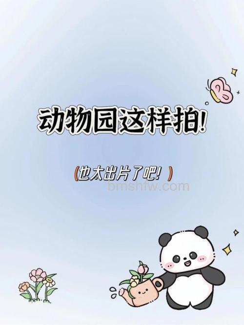 如何拍好动物