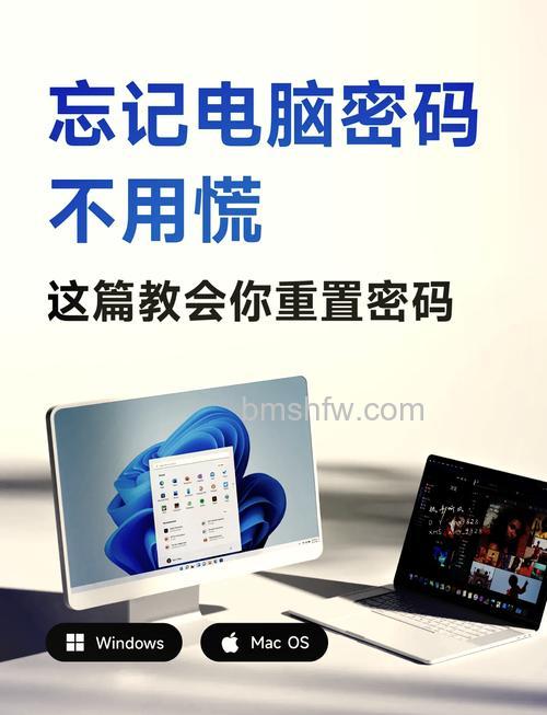 SSD开机慢怎么办？电脑密码忘记怎么办？详解
