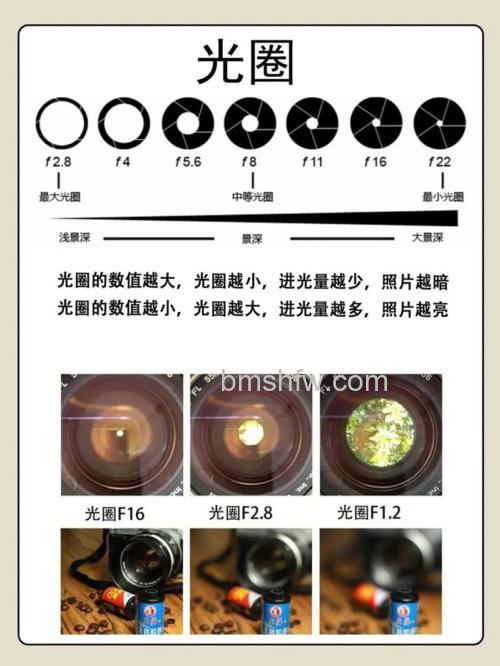 光圈有什么使用技巧？控制快门、虚化背景与影响成像质量全解析