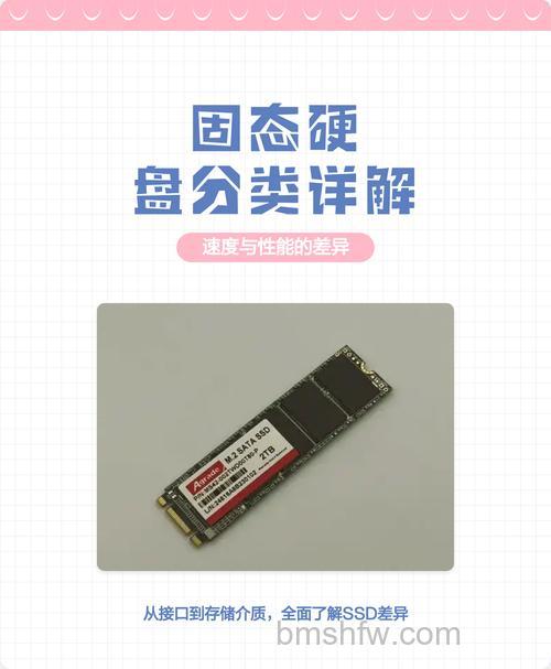 固态硬盘怎么选?常见接口类型与选购技巧详解