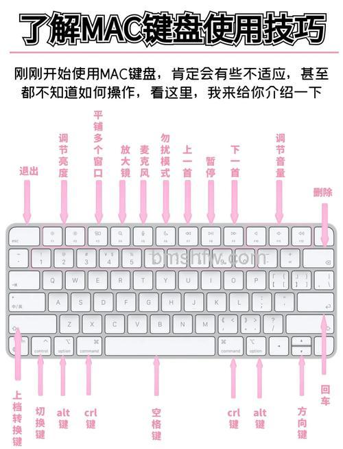 电脑键盘怎么安装：外接USB接口与按键安装方法