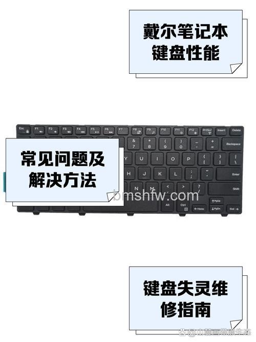 戴尔E系列Scroll LK滚屏键的快捷键是什么?Fn+F5与戴尔公司简介