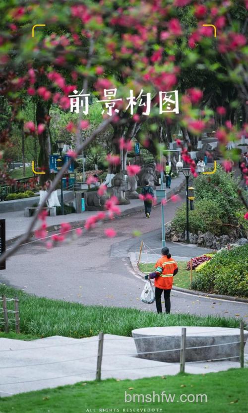 前景怎么运用?引导主体、加强对比、增添趣味三大核心技巧