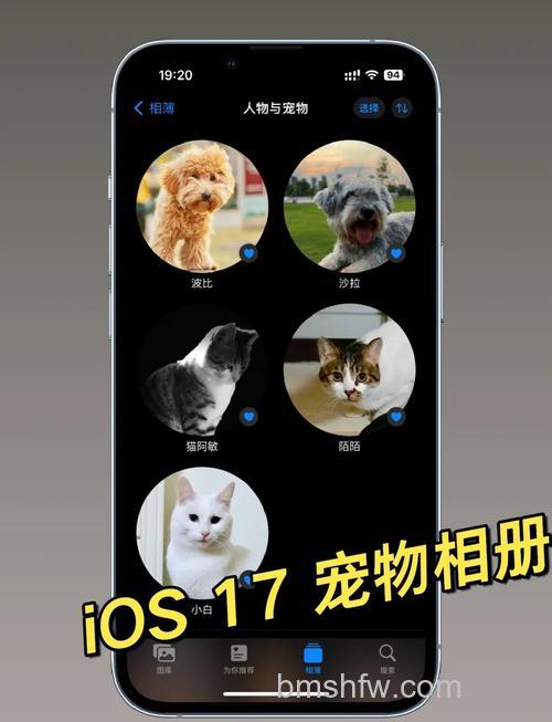 iOS 17 照片应用更准确地识别人物和猫狗宠物【详解】命名、搜索、合并、修正与封面设置