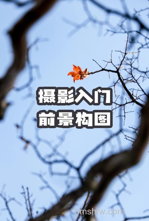 风光摄影中前景运用有什么技巧?选择合适前景、使用广角镜头、获得最大景深三大核心方法