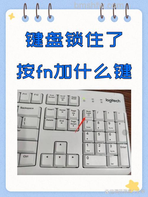 键盘锁住了怎么解锁？Numlock、Fn组合键与全局解锁全攻略
