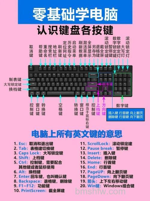 电脑键盘各个按键作用介绍:功能键与组合键详解