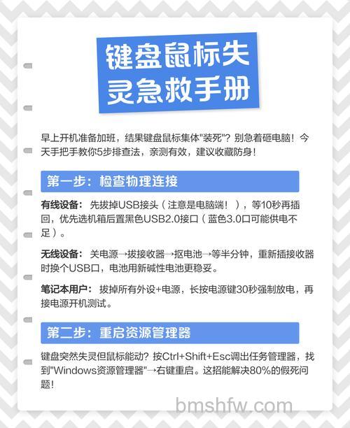电脑键盘失灵鼠标不动怎么办?两种实用解决办法