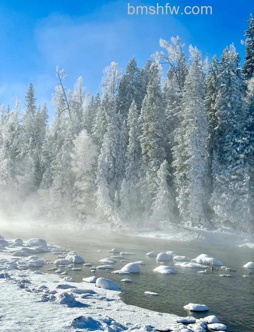 浓雾雪景有什么拍摄技法?4大核心技巧提升画面层次感