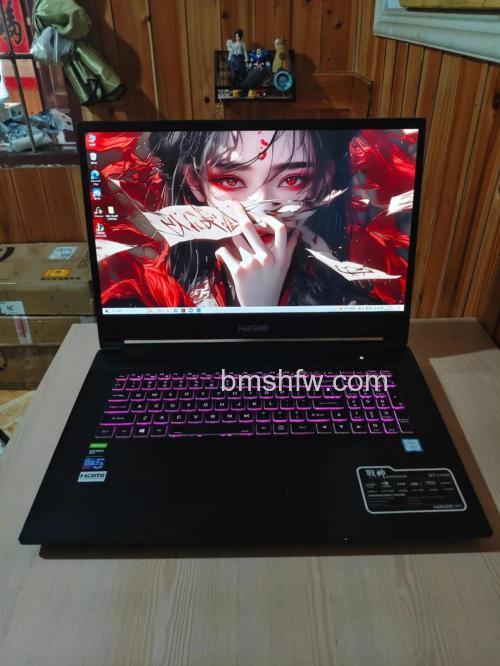 神舟笔记本G7300GT-T运行CS枪击时出现黑色方块阴影怎么办?