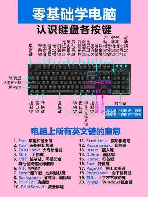键盘数字键详解：主键区与小键盘的功能与作用