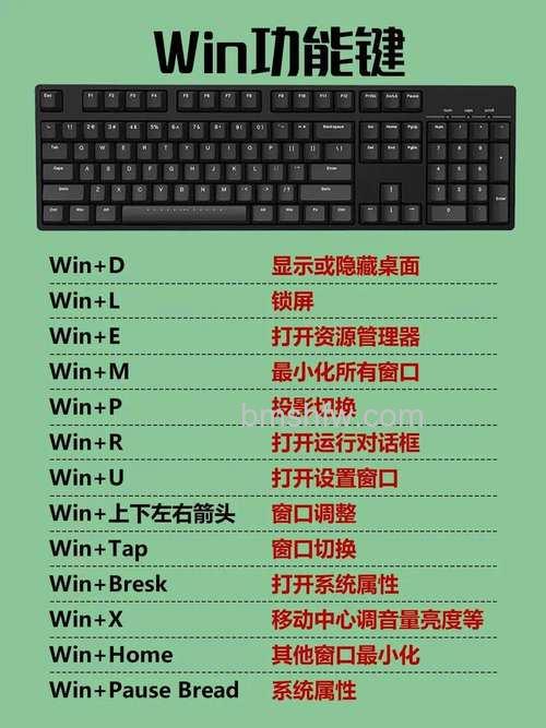 键盘F键功能详解:F1~F12与Fn键的作用