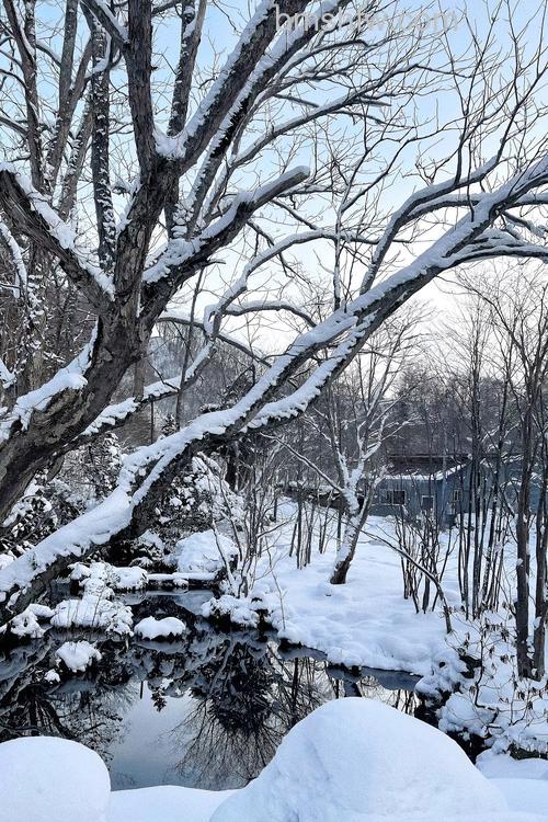 如何拍摄出漂亮的雪景：曝光设置、快门速度、用光方向与器材维护全攻略