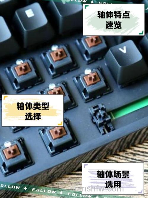 Cherry机械键盘怎么选？四大轴体（红青茶黑）区别与选购指南