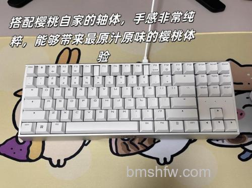 樱桃MX Board5.0机械键盘：人体工学设计与红轴体验